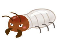 bug_shiroari｜滋賀のリフォーム店 匠工房