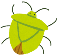 カメムシ｜滋賀のリフォーム店 匠工房