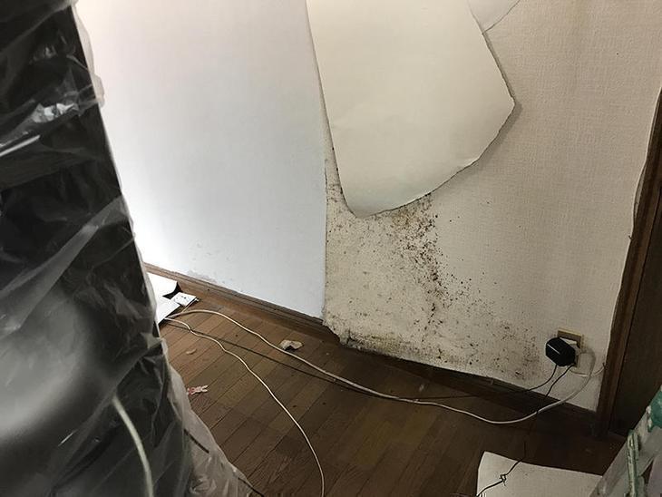 一部の壁が湿気でカビているのでリビングの壁紙を張り替えています。家具と壁が近すぎると湿気がたまりカビが生えてきますのでご注意を！担当：高田