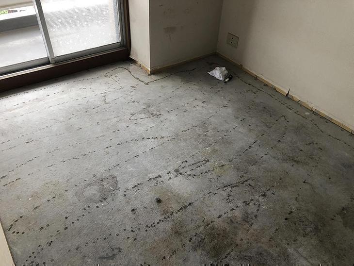 カーペットをめくり、その後マンション用のフローリングを貼っていきます！担当：山中和樹