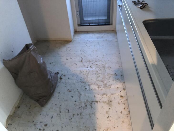 マンションのフロアを貼り替えてます！このあと床下地をきれいにならしてフロアを貼っていきます！【野洲店】高田