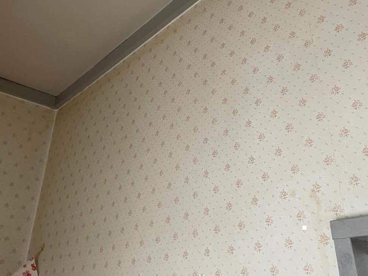 トイレのクロスを貼り替えます！【草津栗東店】日浦