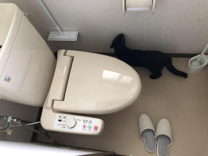 分離型のトイレから一体型のトイレに変えます。【草津栗東店】保木 