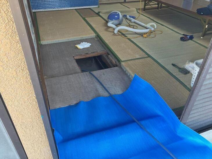 和室の畳の下から潜り防蟻工事をさせて頂きました。【湖西店スタッフ】