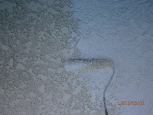 P3030020
