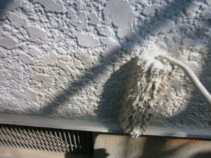 P3040030