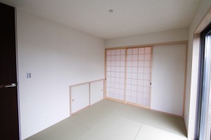 IMG_8081