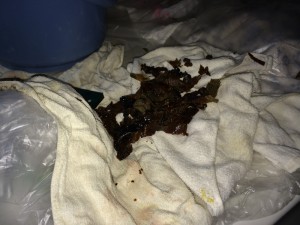 こすって取れた油汚れです