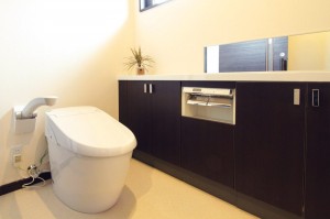 ﾘｸｼﾙのﾀﾝﾚｽﾄｲﾚ「ﾈｵﾚｽﾄ」