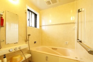 ﾘｸｼﾙのﾕﾆｯﾄﾊﾞｽ「ｷﾚｲﾕ」