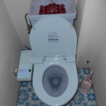 1;施工前 ウォシュレットから水が滴らないようにクリップをされてます