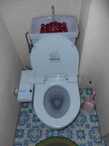 1,施工前 ウォシュレットから水が滴らないようにクリップをされてます