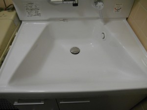 両サイドにものが置けて、なおかつボウルが広く大きいです