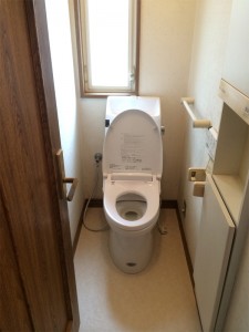 ﾘｸｼﾙ　ｱﾒｰｼﾞｭZを付けました