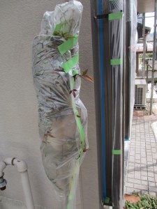 足場内の植栽は養生して塗料が付かないようにします