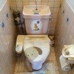 施工前：昔のTOTOのﾄｲﾚ