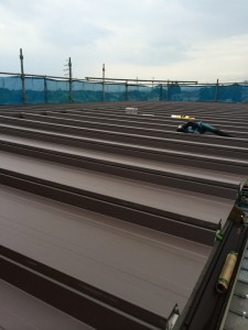 上から新しい屋根材(セキノ興産　66ロック）を被せていきます