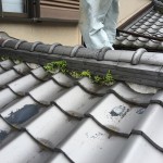 施工前 1階の屋根の棟瓦です。草が生えるくらい水を吸い込んでいました