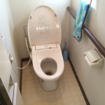 施工前 便座だけ新しいものが付いていました