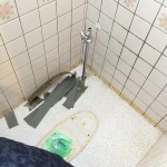 既存便器を取り外したので、クッションフロアと幅木を交換します