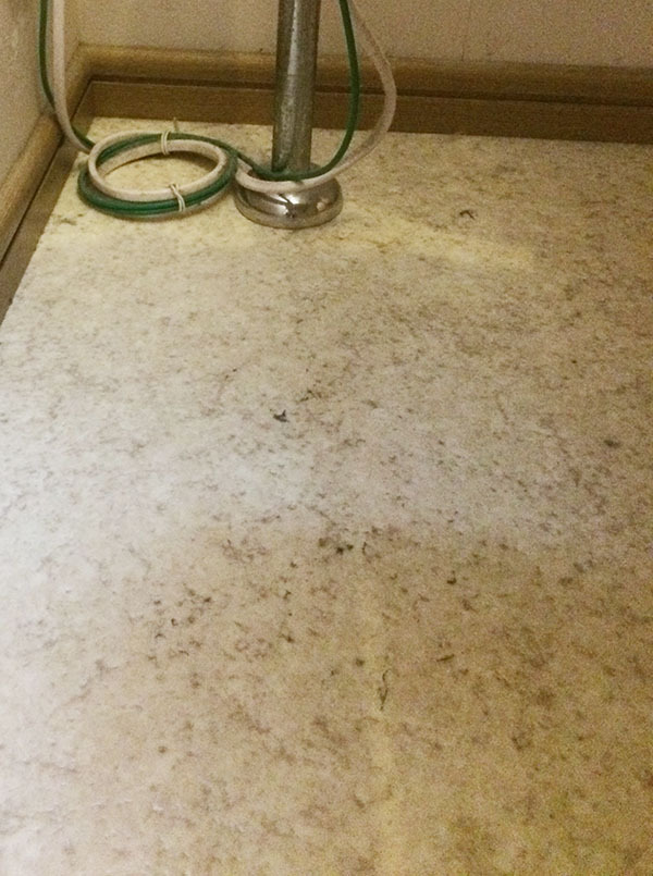 施工前 トイレ2