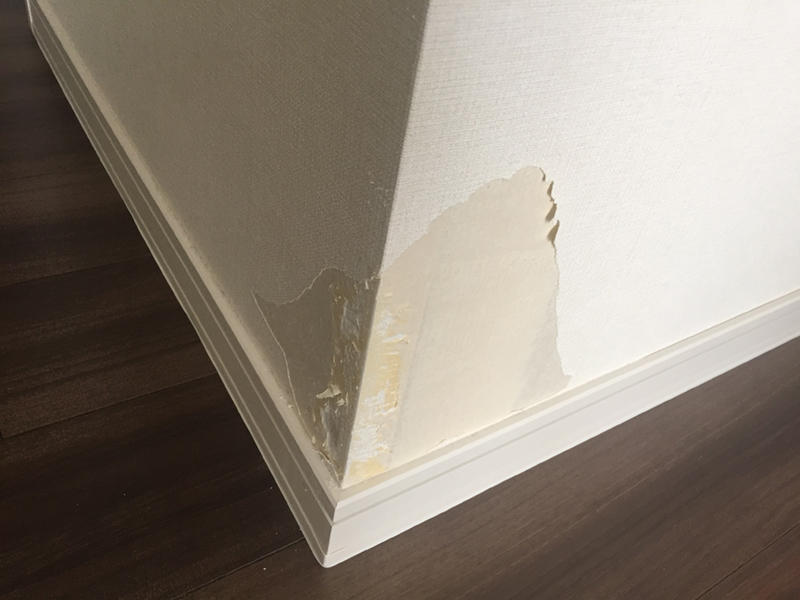 匠工房　滋賀　クロス　施工