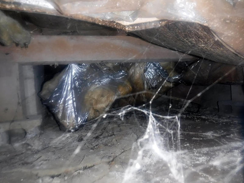 床下リフォーム施工前 断熱材の劣化|滋賀でリフォームするなら匠工房