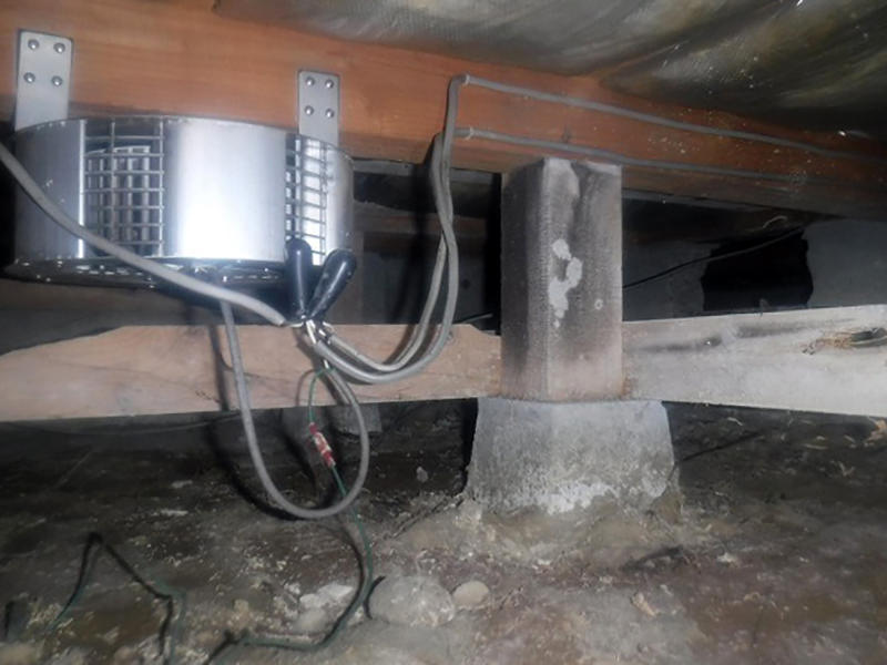 床下リフォーム施工前 腐朽菌の発生|滋賀でリフォームするなら匠工房