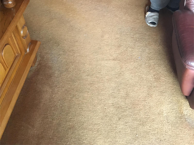 施工事例　カーペット　滋賀　守山市