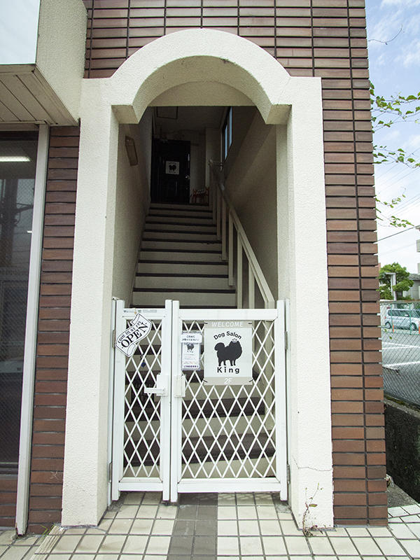 Dog Salon King9|滋賀・京都の店舗改装ならテナント工房