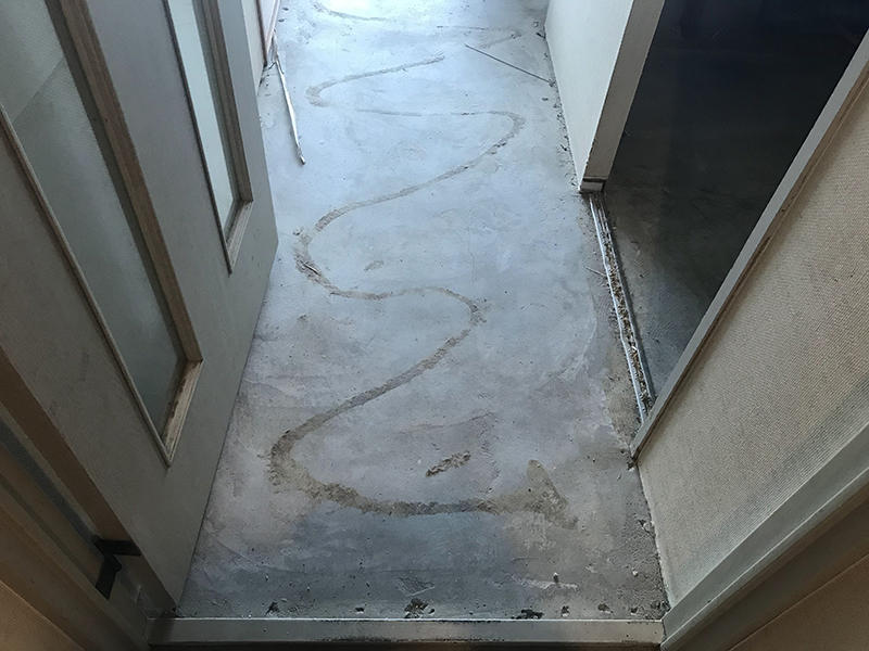 マンションリフォーム施工前 廊下カーペットめくり|滋賀でリフォームするなら匠工房