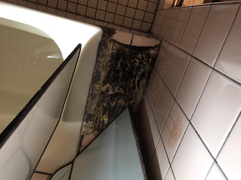 お風呂　システムバス　匠工房　滋賀