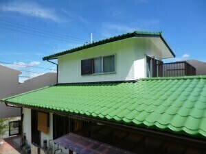 緑と白のコントラスト