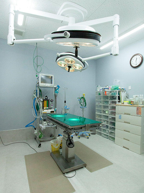 兵庫県 宝塚まりも動物病院様 店舗事例10｜滋賀店舗リフォームなら匠工房