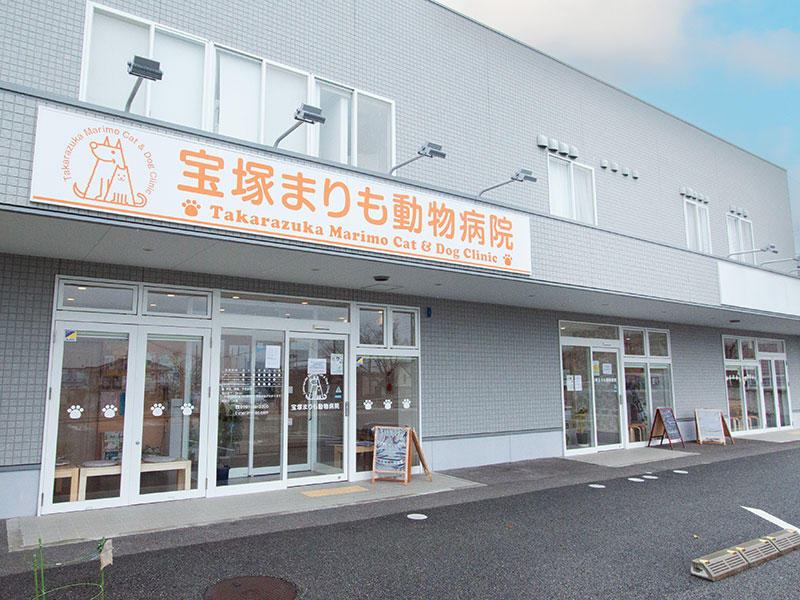 兵庫県 宝塚まりも動物病院様 店舗事例12｜滋賀店舗リフォームなら匠工房