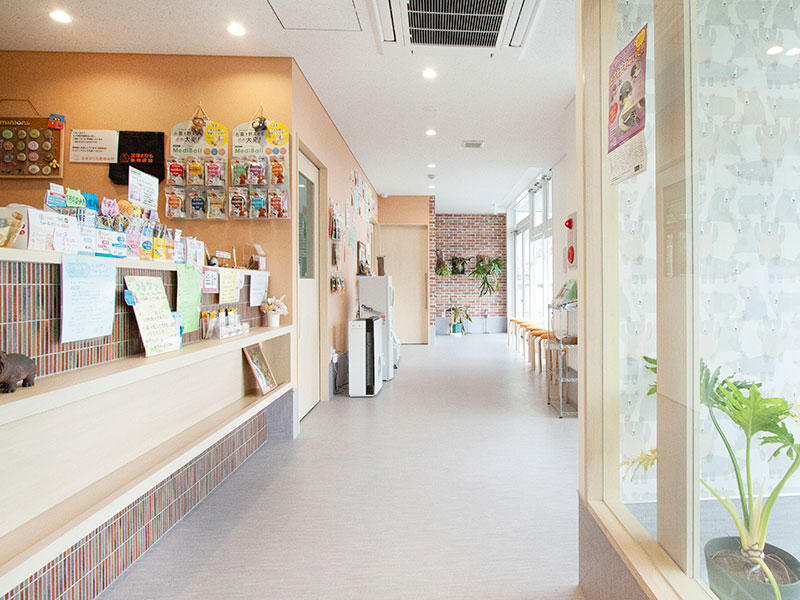 兵庫県 宝塚まりも動物病院様 店舗事例3｜滋賀店舗リフォームなら匠工房
